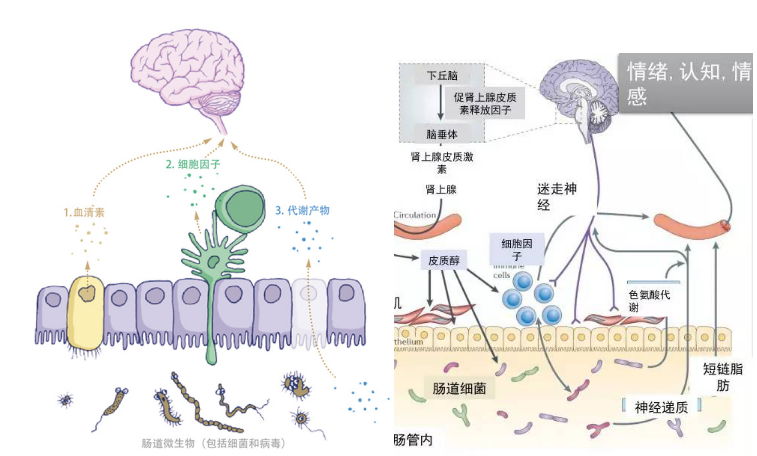1576550589436383.png 微信截图_20191217104245.png