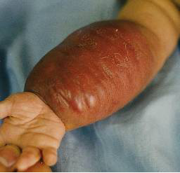 1596003650167306.png image.png