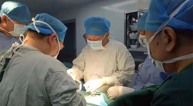 1667549669461889.jpg gai-1.jpg