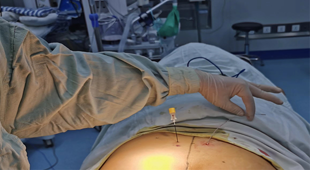 1667549747736282.jpg gai-2.jpg