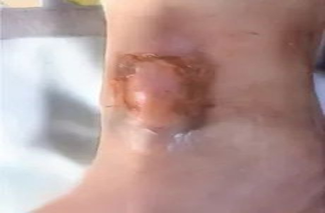 1691548609794498.jpg 未标题-6.jpg