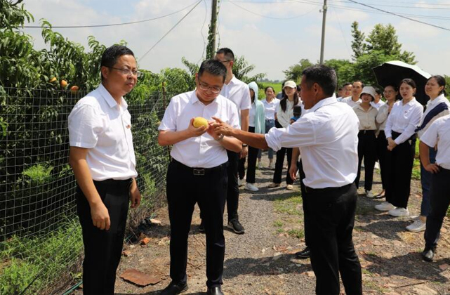 1692258953903880.jpg 2-4.jpg