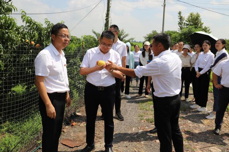 1693190114288873.jpg 843c79e42515019035e88bd4e571b636_LOCAL1690510742505EBRFYRD55Y.jpg