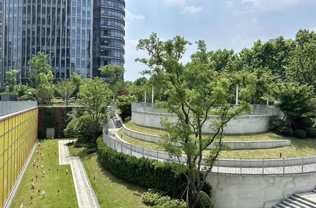 1693446465420460.jpg 1.jpg