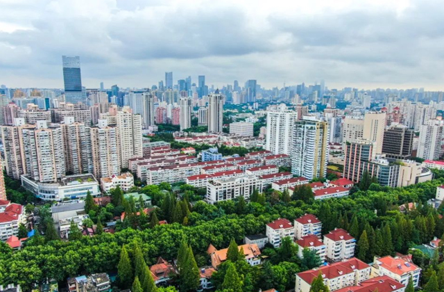 1693446966607385.jpg 1.jpg