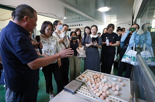 1694594486568752.jpg 1.jpg