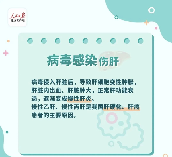 1742283156940630.jpg 1.jpg