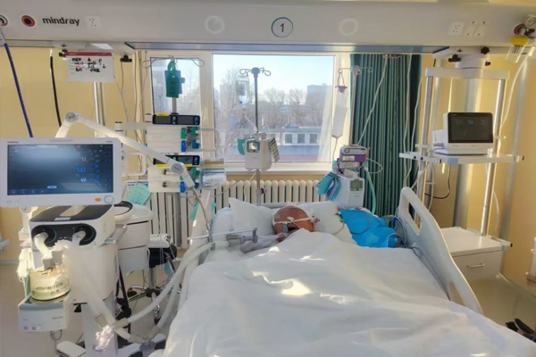 1742285106279763.jpg 1.jpg