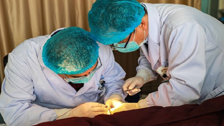 血管疾病 | 电化学治疗