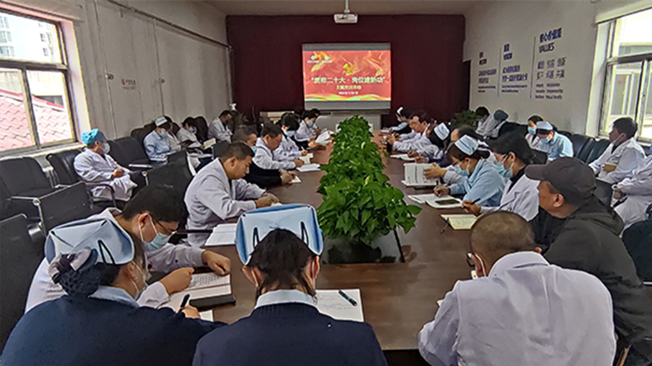 成人快手
开展“贯彻二十大、岗位建新功”主题党日活动