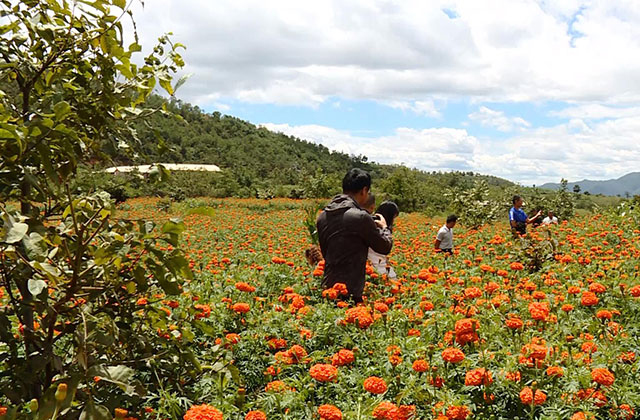 天峨县：“党建指导日”压实基层党建工作责任