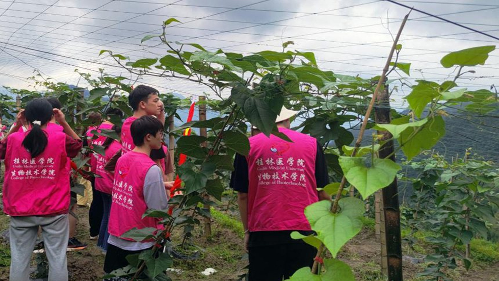 重庆市医学科学院揭牌 将聚焦基础医学和临床研究