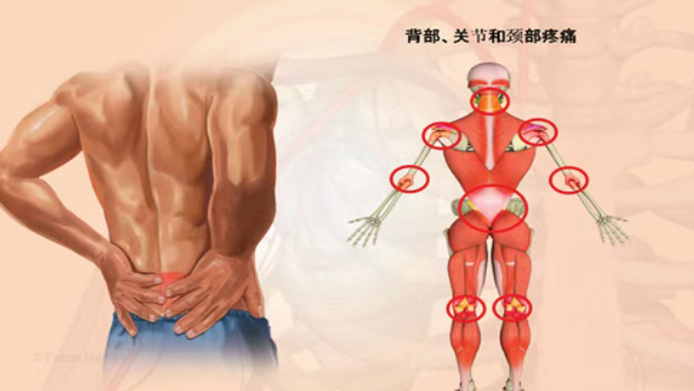 成人快手
康复医学科门诊特色手法技术介绍——意大利筋膜手法