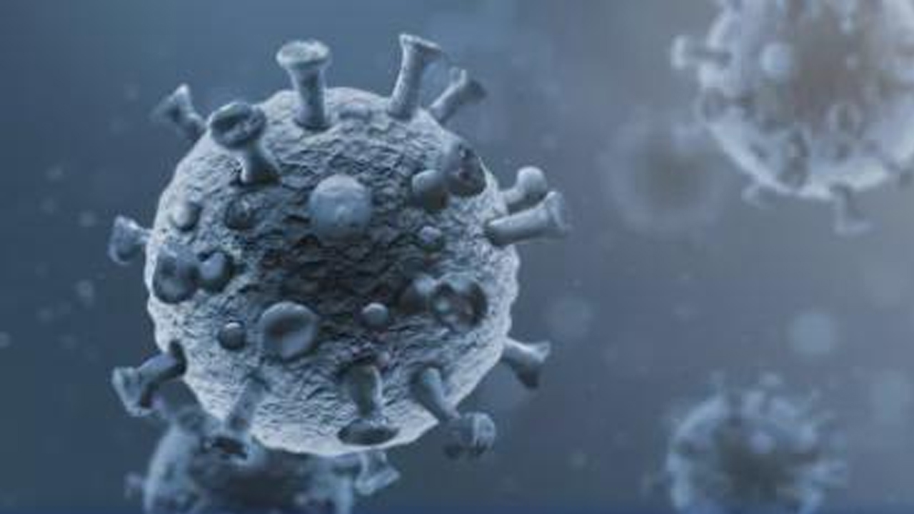 通用流感疫苗可预防病毒变种