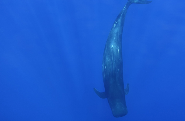 香港理大与天津医科大学建立科研合作平台