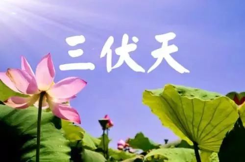 “三伏天”虚寒类疾病患者适合“冬病夏治”