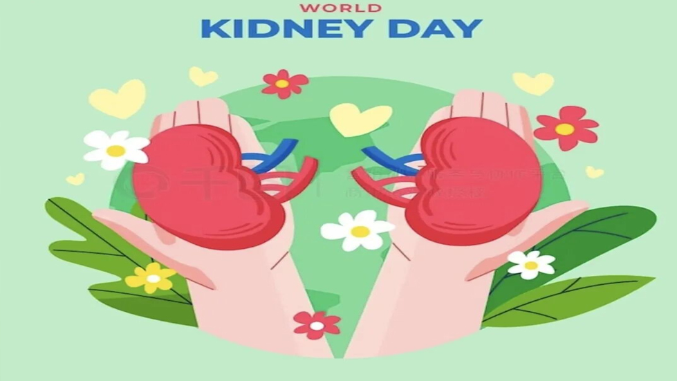 世界肾脏日：关爱肾脏，守护健康